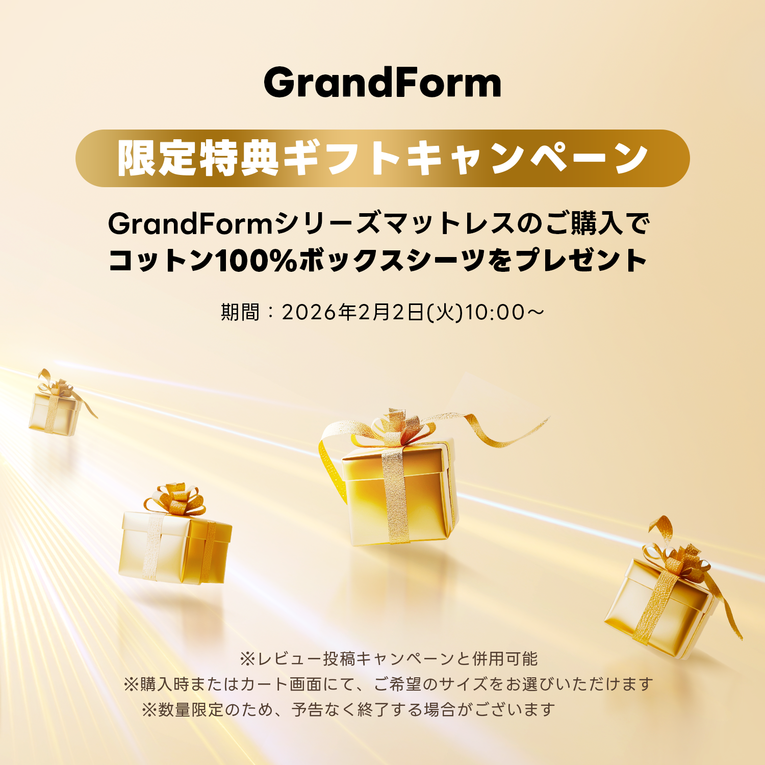 【8/31終了｜在庫処分セール】Grand Form リバーシブルマットレス