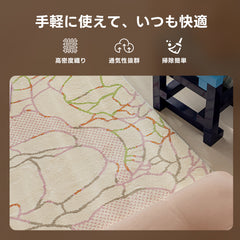 【在庫処分セール】スプリングブリーズラインラグ