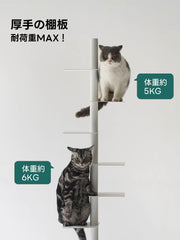 スリム回転式本棚